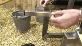 Chastity Belt