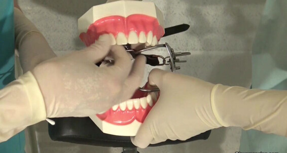 Glovemansion Patient Dental Our Pov