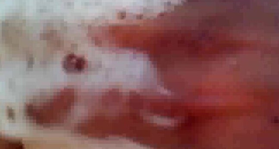  Siterip Dirty Diaries_1 Mix