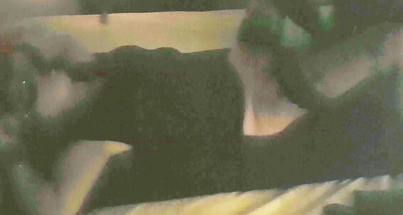 Trip For Fuck - Cum Sugge Best Trip Amateur Moaning Fuck Bull In Kiss Birthday Milf For Orgasm Dominating Mouth Sexy Bondage Sex Friends Mature Gilf Cuckold Blowjob Female Wife