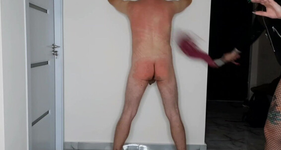 Pure Taboo - Spanked Femdom Nika Male Suggest Dominatrix Toys Kink Dominant Bdsm Slave Bare Pure Woman Whipped Mistress A Spanking Him Adult And Ass Whipping Taboo On Flogging Session Butt