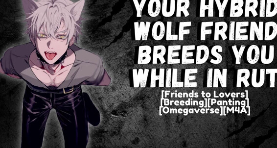 Cover "Icon Male" Omegaverse, Male Audio, Moaning Audio, Male Asmr, Male Moaning, Werewolf, Loud Moaning, M4M, Gay Asmr, Nsfw Audio, Role Play, Gay Boyfriend Role Play, Gay Erotic Audio For Men, Suggest Icon Male Your Hybrid Wolf Friend Breeds You While In Rut