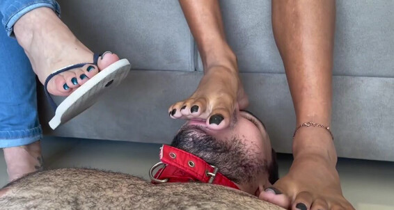 Cover Goddess Grazi Aka Producer Gg Onlyfans This Was The Winning Video In The Last Poll Grazigoddess Making Her Slave Clean Her Neighborsishtu