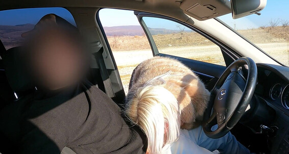 Cover "SashaGreen" Public Masturbation, Blowjob Public, Amateur Blowjob, Blowjob Blonde, Guy Public Jerking, Random Stranger, Cum In Mouth, Real Life, Fur Coat, Blonde Milf, Hot Girl, Caught Masturbating, Blowjob In Car, Jerk Off, Suggest SashaGreen I caught a