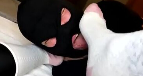 Goddess Nazli, Video: Model Aka Onlyfans Beyaz Yalattim Ptrp Oraplarimi 05 2024 White Fetish Socks 04 Nazli Video Goddess Koklattim Goddessnazli