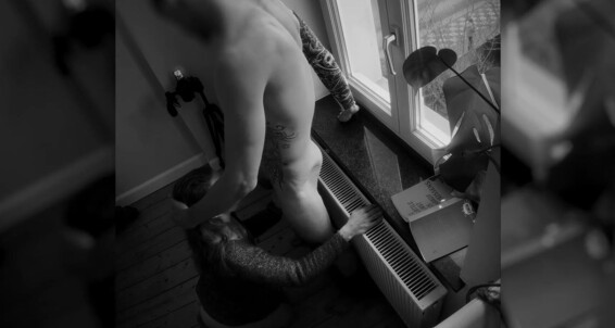 Cover "Frechdachse" Window, Window Exhibitionist, Window Fuck, Window Sex, Window Voyeur, Standing Doggy, Standing Doggystyle, Cumshot, Amateur Facial, Facial, Homemade, Amateur, Amateur Couple, Verified Amateurs, Verified Couple, Suggest Frechdachse We fuck in