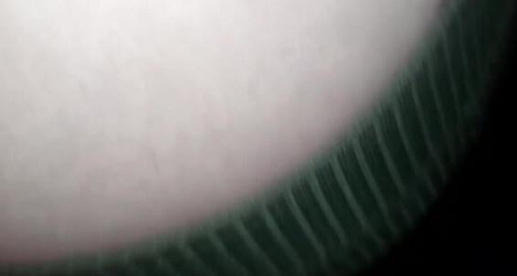 Alice Sins - Suggest Kink Girl Alice Toilet Pissing Diary Wetting Pregnant Pee Peeing Week Piss Sins Petite Urination Pornhub 51 Butt