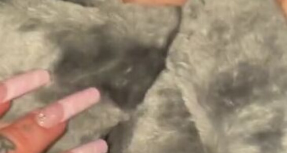 Fendi Feet - Pedip Goddessfendi Mani Like My Bday Aka You Fendi Onlyfans How Do Feet
