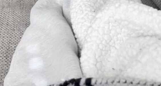 Fendi Feet - Goddessfendi Aka Fendi Onlyfans 12P Video Feet