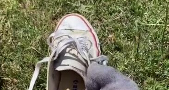 Emmysfeetandsocks - Hiking Emmyfeetandsocks 1P And My Aka Dripping Morning Lil Are Onlyfans Socks In Wet The