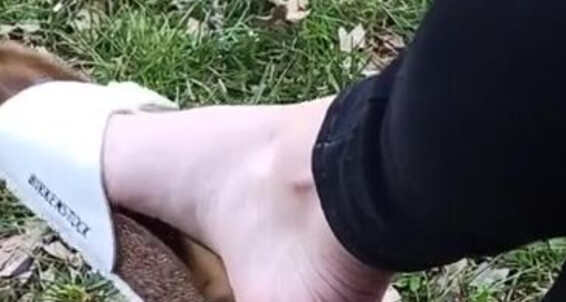 Emmysfeetandsocks - Little Did A Walkie Emmyfeetandsocks Went While Like These Aka I Onlyfans Shoeplay Shoesp For