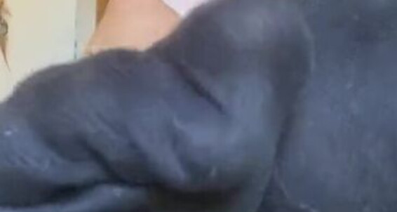 Emmysfeetandsocks - Strongp They Emmyfeetandsocks These Aka So Sooo Onlyfans Socks Done Smell