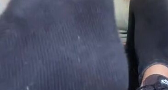 Emmysfeetandsocks - Emmyfeetandsocks Didn It So Them T Believe Smell Aka Are Onlyfans By Smelly 1P I Myself These Socks Till