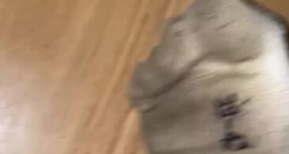 Emmysfeetandsocks - Good Day Emmyfeetandsocks Vans This Uhh Insoles 11 Hell Look My Aka Onlyfans 3P A And Was Btw At Very That Socks For