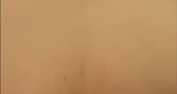 Cover "Public Agent" Mi Novia, Animando, Pittsburgh, Steelers, Parte 2, My Girlfriend, Fuck My Girlfriend, Cheering For, La Animadora, Vaquerita, Porrista, Nfl, Football, Amateur, Homemade, Real, Suggest Public Agent My Girlfriend Cheering For Pittsburgh Steele