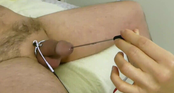 Cover "Servant of N" Femdom, Femdom Milking, Sounding, E Stim, Prostate, Prostate Orgasm, Prostate Milking, Heavy Load, Prostate Toy, Suggest Servant of N Prostate milking with sound and E stim leads to huge load Pornhub
