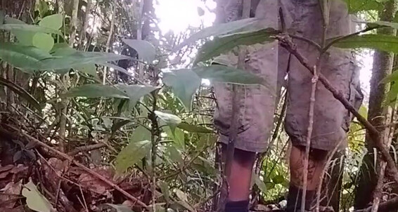 Mamagaari, Video: In Jungle Smelly Mamagaar Quick Caught Almost Nature Pussy Suggest Pelosa Hiking Public Enby Pisciata Sveltina Cum Feet Masturbation Figa Italiana Sex Pee Outdoor Horny Hairy Pissing