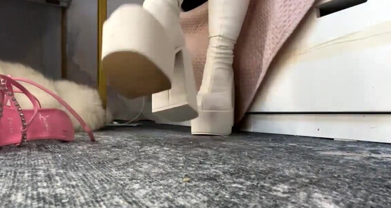 Goddess Bella, Video: 01 01172025 0812 Aka Bella Onlyfans At Amp 17 Stream Started Video Thecruelmistress Goddess 2025