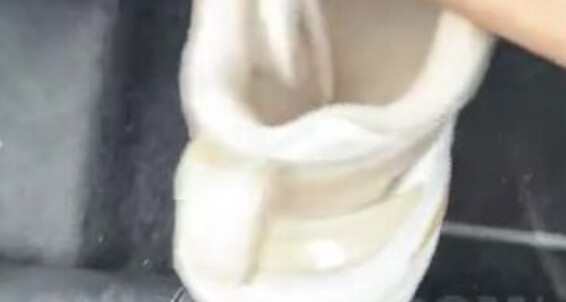 Ygoddess - 21 Slavep Smelling Like My Aka 2024 You Onlyfans Ygfoot Socks 09 Do