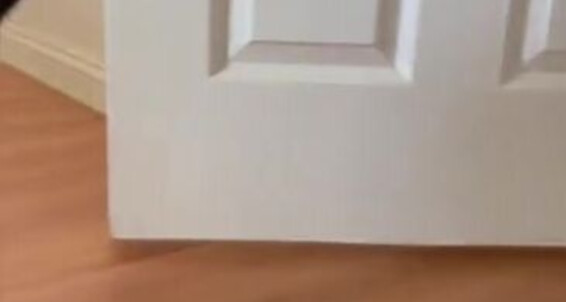 Caribbean-Solez - Cum The Onlyfans Caribbeansolez With Me Housep Around Walk