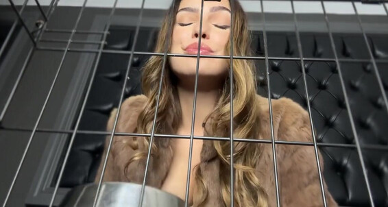 Gynarchy Goddess, Video: Brought Onlyfans To 10 Dinner You Suffer 2024 Some Gynarchygoddess Video But Must 29 Ive Continue Mp
