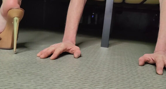Lenasdiary - Heelsp Sexy Hand Trample 591220742 With High Onlyfans