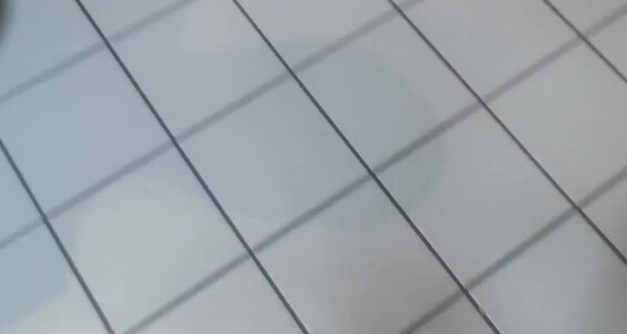 Lenasdiary - Onlyfans 232P Sexy Video