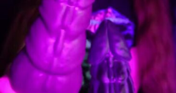 Lilijunex - Theyll I Maaay News New Whoops Fuck In Getp Priorities Have Already Two Onlyfans My Fuckedhad That Order