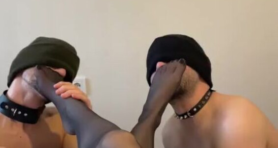 Mistressberil0 - Ekilde Oraplarm Etmelerini Koklattm Ptrdm Sal Premiump Yalattrdm En Onlyfans Bana Iyi Hizmet Kpeklerime
