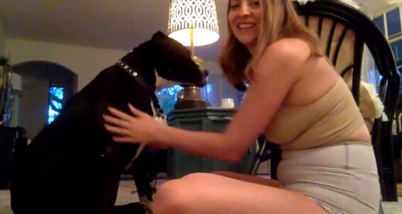 Stella Liberty, Video: Am Yoga Stella 04192021 Onlyfans Cam At Callsp 0239 Liberty Started Stream And