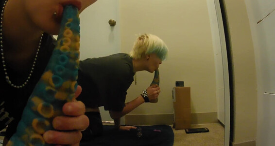 Kitty Queen, Video: Kitty Dragon Bad Toys Toy Adult Ika Boobs Big Pornhub Suggest Masturbate Queen Mirror Vibrator Amateur Dildo View Glass Kink S First And