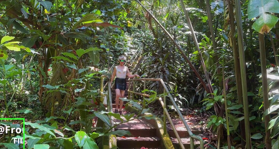 Fromthisnight, Video: Botanical Pornhub Gardens Pussy Hairy Wahiawa Panties Oahu Suggest Milf Hawaii Crotchless Garden
