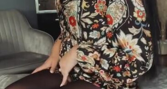 Goddessmona - Harter Hard Onlyfans Nylon Schwanz Cockp Wolford 91