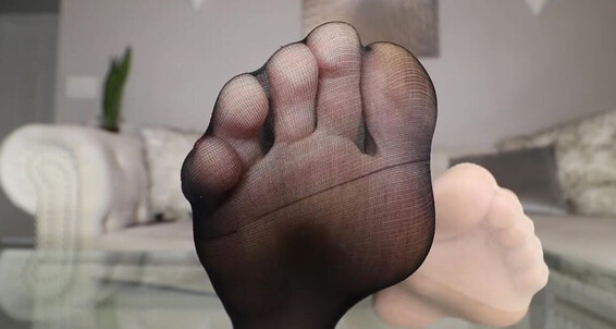 Cover Ivorysoles Onlyfans 03 16 2022 Pantyhose Perv Joi If I Catch You Staring Ill Make You Jerk Out Every Drop Withp
