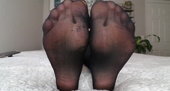 Cover Ivorysoles Onlyfans 09 18 2022 Pantyhose Slave Edging Joi You Have Been Missing Ivorys Sheer Black Pantyhose Luckily All You Havep