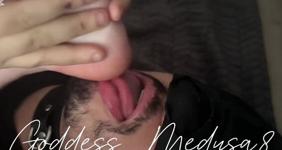 Cover Goddesmedusa8 12 01 2024 Onlyfans Video Valhala8888 Gnbg