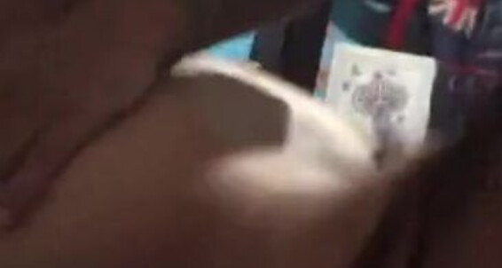Tiodragon2787, Video: Parejas Sexo Verdaderas Perrito Rapido Con Le Pornhub Encanta Y Suggest Vecina De Duro Leche La