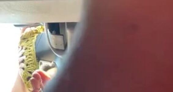 Asiansmartsoles - Did Yourself What Stepbro Pedal Haha Top Might Shrink My Are Onlyfans Doing Under I Gas Tie You