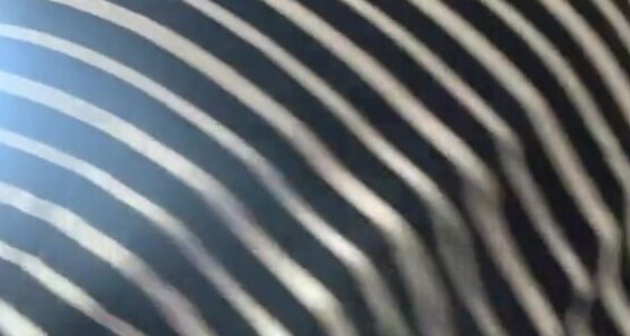 Cover Goddessmonica00W Onlyfans How Would You Explain These But Cheeksp
