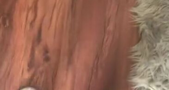 Poster for Goddess Monica Goddessmonica00W Flops White Your Flip Onlyfans Requestp Per