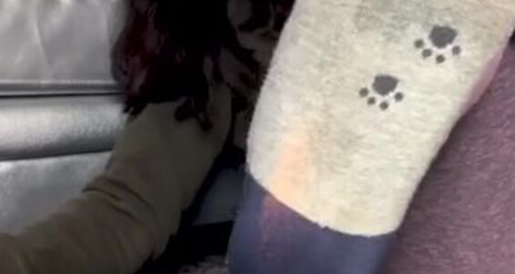 Thefallenbabepremium, Video: Booties Onlyfans Socks Winter For Removal Youuuup