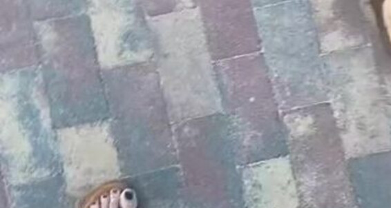 Theperfectmistress - Didn This Here T Believe Ago Bad My Onlyfans In Goldp I Days Walking Can Upload Sexy Miami Me S Around