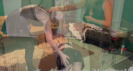 Mistress Noir - Mistress 20 682379809082322944 Hash2 2024 A3B0940D2Efdb3D570D4A70A1C8Ba503 08 13 40 At Id Noir