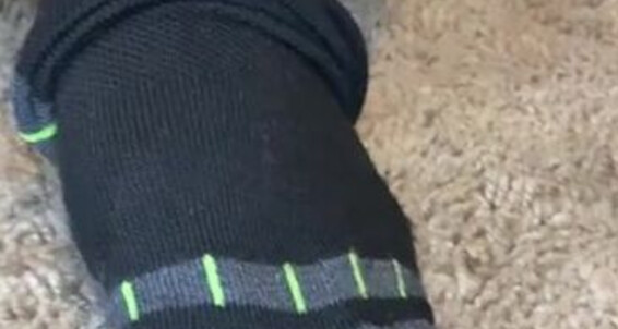 Enjoyyourfetish - Melantedbossfeetp Onlyfans