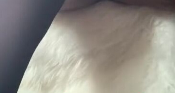 Cover Madam Caramel Onlyfans Enjoy My Me Where My Nylons Boi