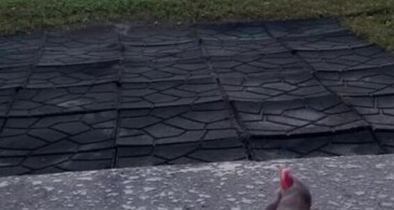 Sweetesthangsfeet - Kept It Sunrise Have Rhonda Letting Aka Onlyfans A Watching I Longer But Not With Mad Itso The Upload Goddess Me Video
