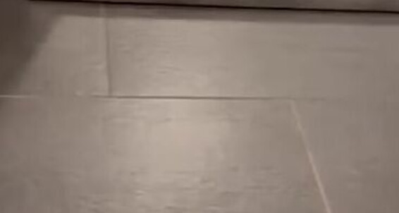 Germangirlnextdoor95 - Toes White Onlyfans