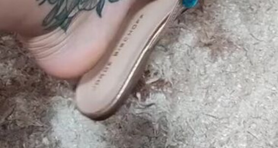 Samy Feet - 211 Samy Onlyfans Video Feet