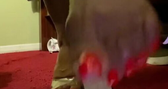 Queenjodiieetoes - You The Onlyfans Aka Prettyfeetonly1800 Does Down Turn Count