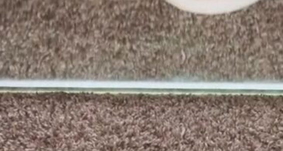 Queenjodiieetoes - French Onlyfans Aka Prettyfeetonly1800 So This Is Cute Airbrush